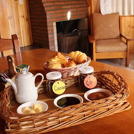 Apart Hotel Del Tilo Сан-Мартін-де-лос-Андес Екстер'єр фото